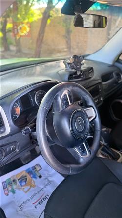 جيب رينيجيد